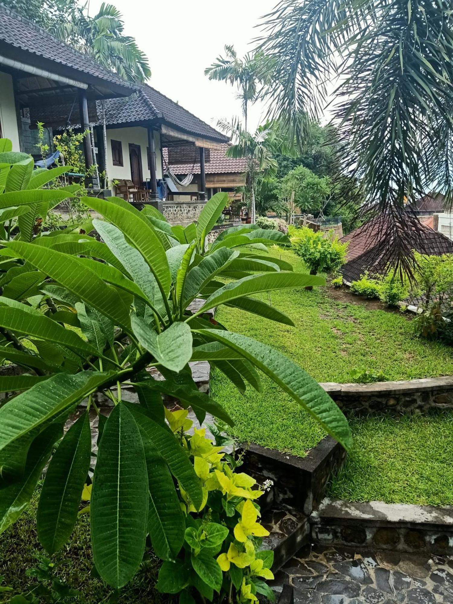 Bamboo Bali Amed Quarto foto